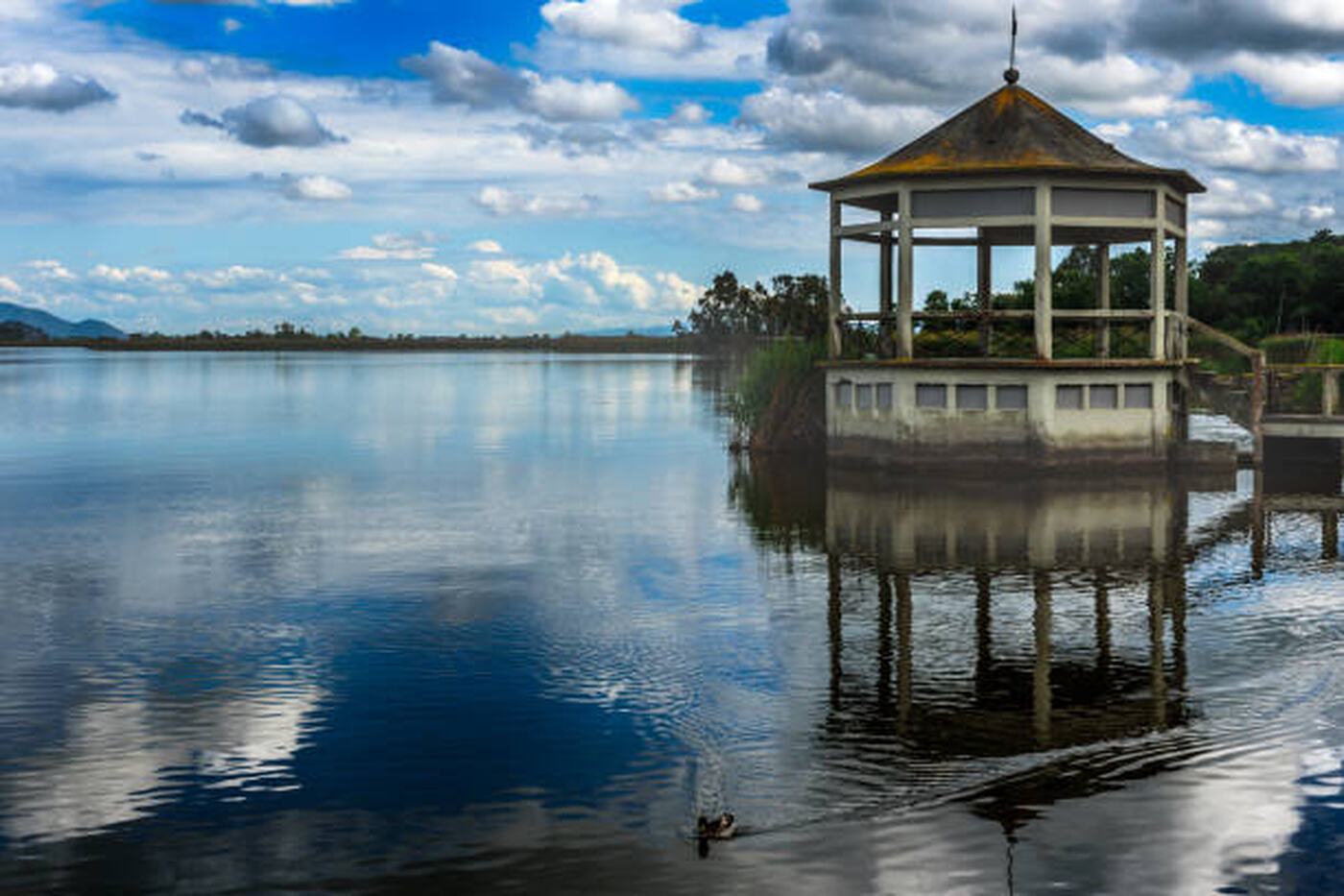 Panorama del Lago di Massaciuccoli a Torre del Lago Puccini